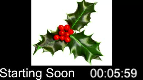 Snapshot of passion4fashion chatting on December 25, 9:00 pm Passion4Fashion online show from December 25, 9:00 pm