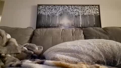 patrick247288 online show from February 12, 12:22 pm