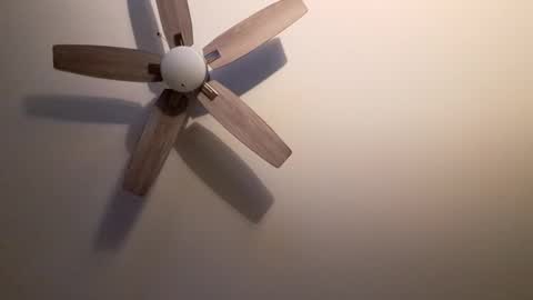 patrick247288 online show from September 9, 4:34 am