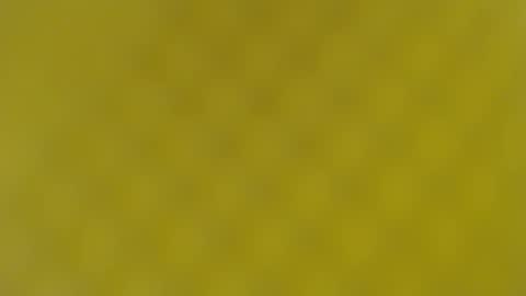Snapshot of patty_squirt87 chatting on February 19, 5:49 am patty squirt87 online show from February 19, 5:49 am