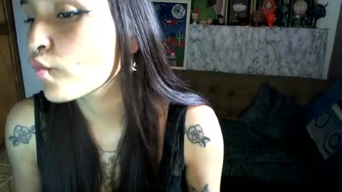 Snapshot of pau_cat chatting on July 19, 9:18 pm Pau online show from July 19, 9:18 pm