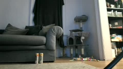 shy online show from April 12, 7:46 am