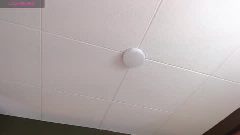 Paul online show from November 10, 1:10 pm