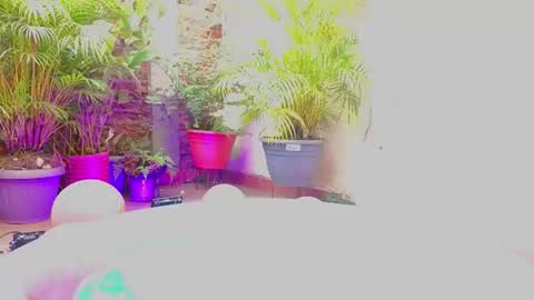 Paulina  online show from June 19, 7:39 pm