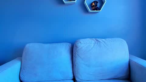 Paul Phoenix online show from October 5, 8:07 pm