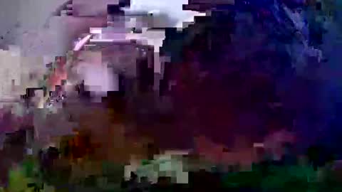 Snapshot of pay2playangel12 chatting on December 21, 10:06 am Coco channel online show from December 21, 10:06 am