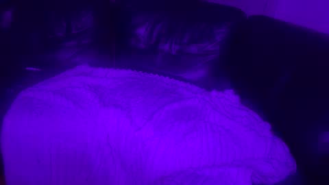 paybarbi online show from November 16, 7:14 am