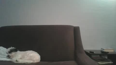 paybarbi online show from January 16, 5:33 am