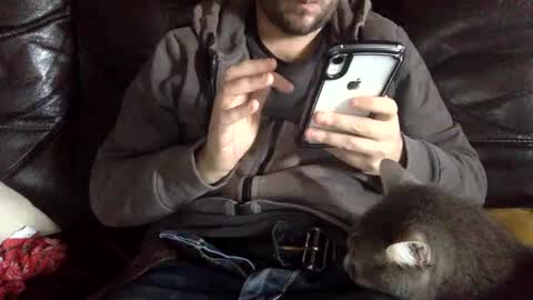 pedrotheamateur online show from December 3, 12:38 pm