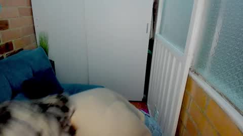 Penelope online show from March 11, 10:38 pm