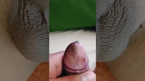 Penils online show from March 3, 7:09 pm