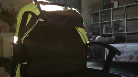 peregrintpelfox online show from December 16, 10:20 am