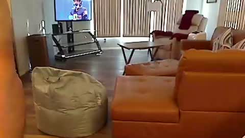 perfecto1957 online show from December 22, 8:03 pm