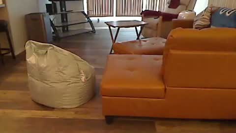 perfecto1957 online show from January 5, 4:48 pm