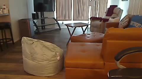 perfecto1957 online show from February 13, 4:39 pm