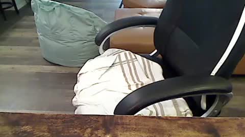 perfecto1957 online show from February 26, 4:45 pm