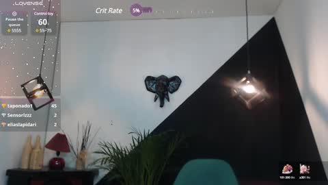   online show from January 25, 6:02 pm