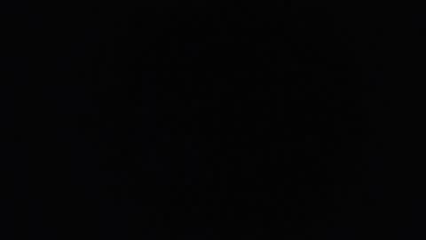 lecia online show from October 31, 8:48 am