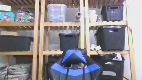 perroar online show from February 7, 6:11 pm