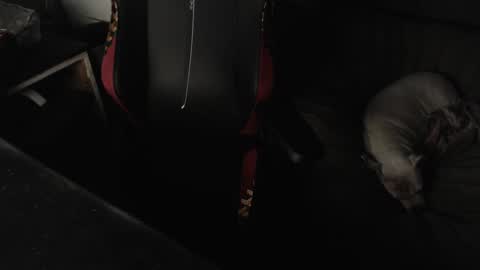 peterbeater2 online show from February 21, 7:45 am