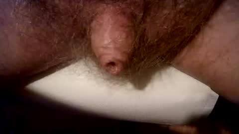 peterpeteropoulos online show from March 3, 8:00 pm