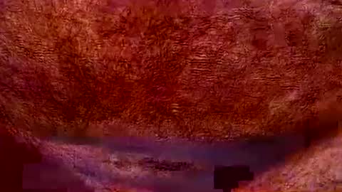 Snapshot of peterpeteropoulos chatting on July 20, 7:05 pm peterpeteropoulos online show from July 20, 7:05 pm