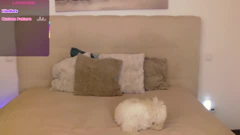 Snapshot of petersemily chatting on September 14, 10:20 pm Peters Emily online show from September 14, 10:20 pm