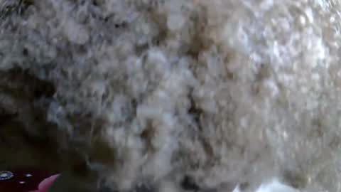 Snapshot of petitecaramell chatting on November 5, 11:05 pm Caramel online show from November 5, 11:05 pm