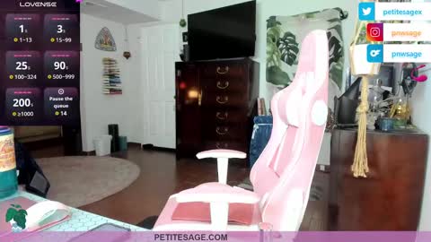 Snapshot of petitesage chatting on December 25, 11:53 pm petitesage online show from December 25, 11:53 pm