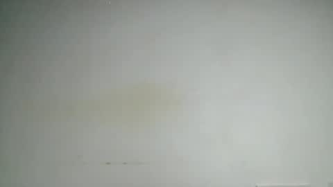 Snapshot of petitgirl88 chatting on June 24, 5:39 am petitgirl88 online show from June 24, 5:39 am
