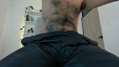 Pettercat online show from August 3, 6:11 pm