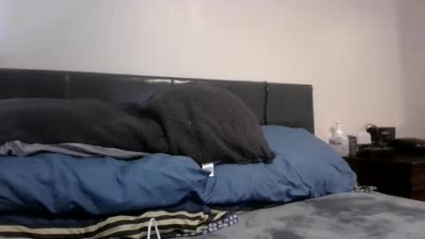 phantomfreakbbc online show from February 10, 4:38 am