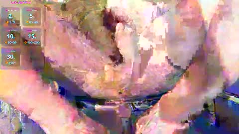 phil_up online show from January 11, 2:38 am