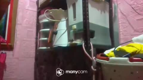 Snapshot of pinaythali08 chatting on November 21, 3:11 pm PinayThali08 online show from November 21, 3:11 pm