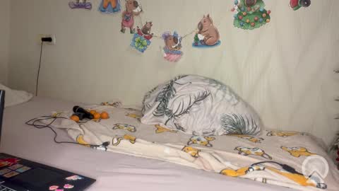 Pikachu pika online show from February 19, 10:06 pm