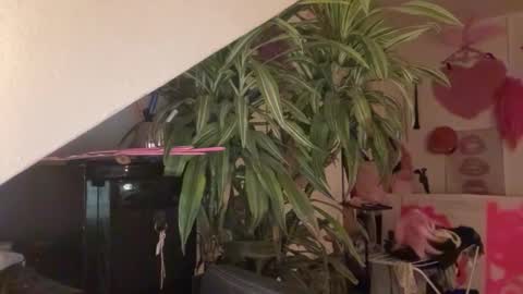 pinkfag online show from March 31, 5:57 pm