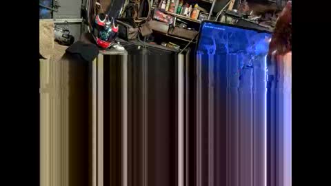 FuckUpayMe online show from February 9, 7:23 am