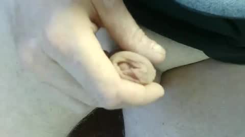 pippo online show from September 14, 4:39 pm