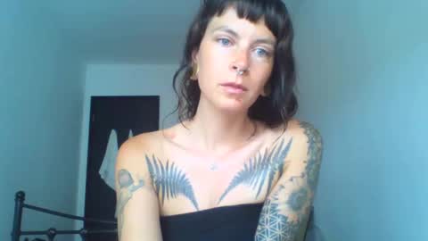 pixiecatfairy online show from September 17, 9:44 am