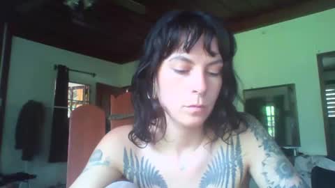 pixiecatfairy online show from November 11, 6:24 am