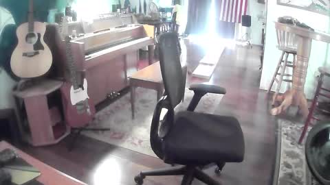 playerpleasure online show from May 28, 5:54 pm