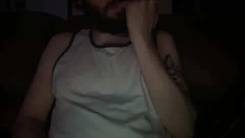 Snapshot of playfulpork chatting on April 15, 8:10 am playfulpork online show from April 15, 8:10 am