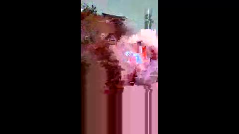 plumber336652 online show from May 31, 12:30 am