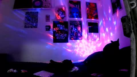    online show from June 30, 11:50 pm