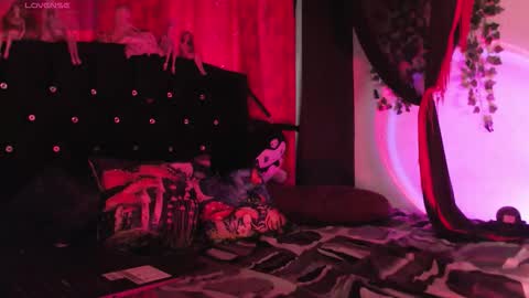  Luna  online show from February 15, 12:47 pm