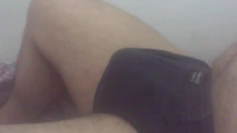 pol2023 online show from November 19, 3:06 am