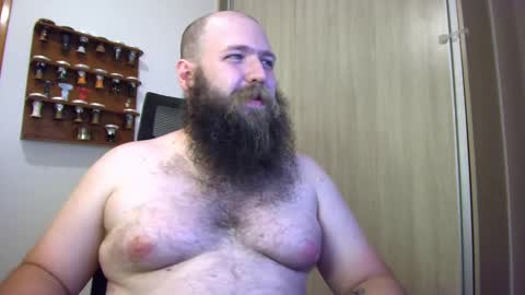 Bear online show from January 14, 1:36 am