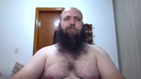 Bear online show from January 29, 4:15 am