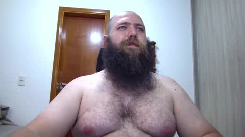 Bear online show from February 3, 3:09 am