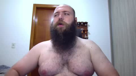 Bear online show from February 4, 2:17 am